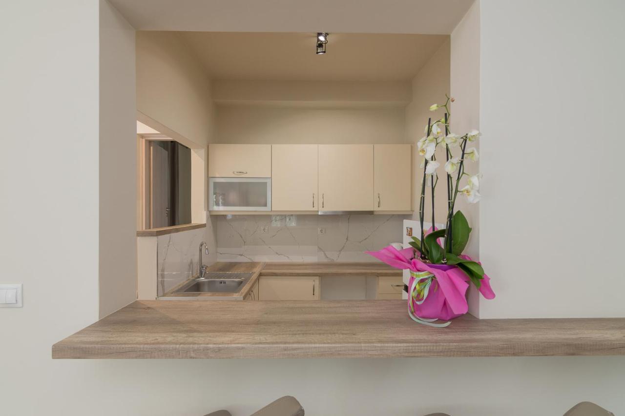 דירות Renovated Panorama Loft: Athens Terrace Gem מראה חיצוני תמונה